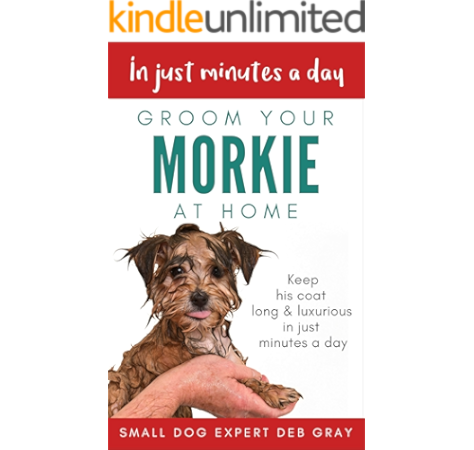 morkie coat