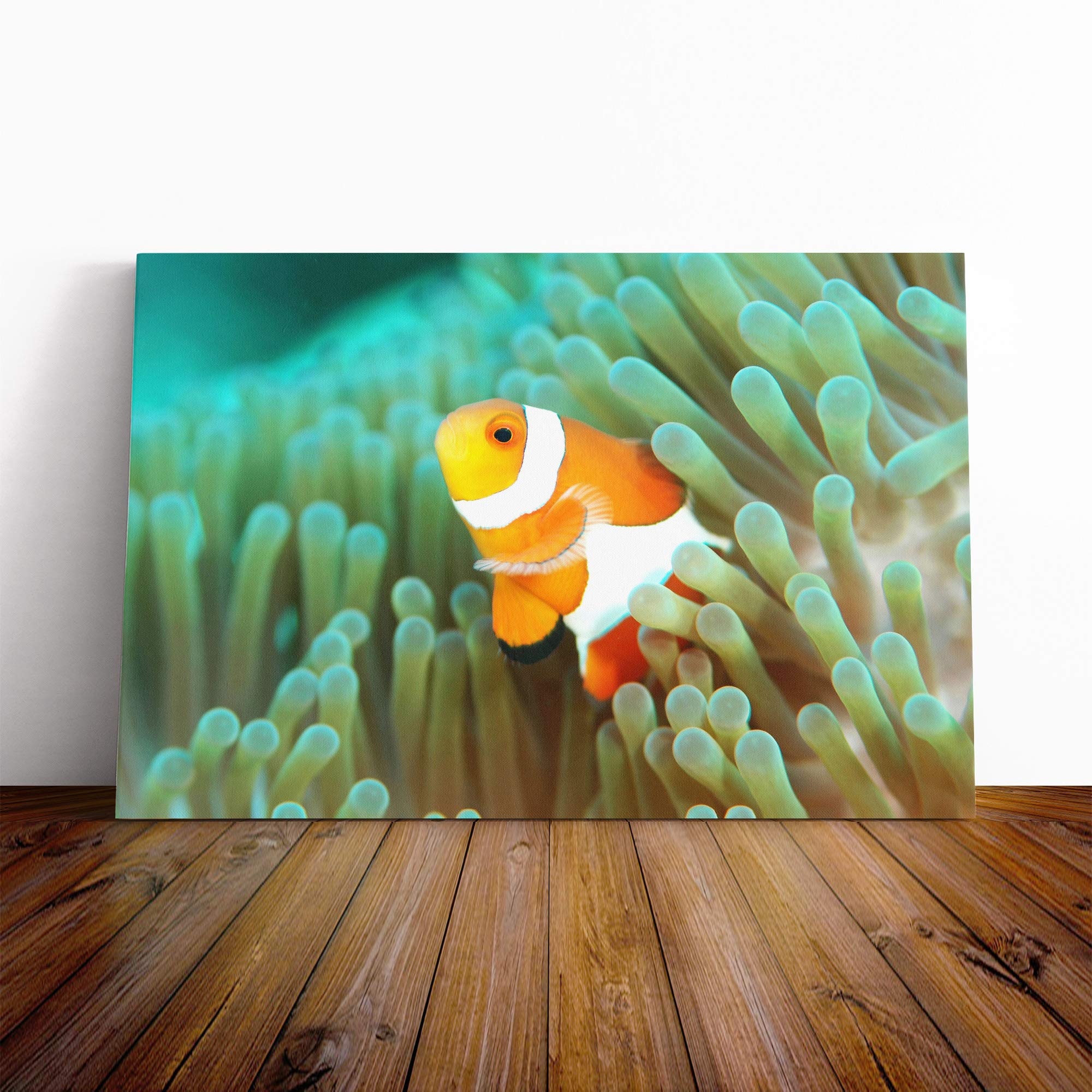Clownfish Clown Fish Vol.3 Canvas Print | Gallery Wrapped 30mm Frame Wall Art | 20x14 inches | Ready to Hang | Modern Animals Picture | Living Room Bedroom Lounge Office
