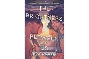 The Brightness Between Us