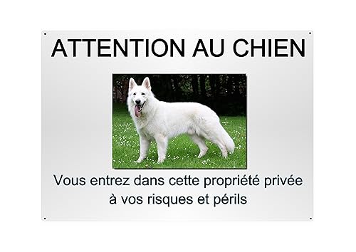 Plaque Attention Chien Berger Blanc Suisse En Métal 29 X 20