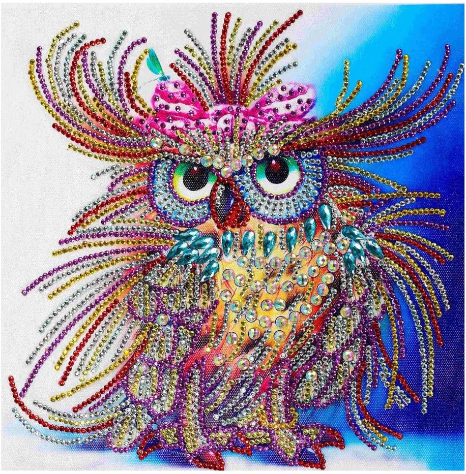 DIY 5D Diamond Painting by Number Kit, Cute Crystal Rhinestone Embroidery Cross Stitch Arts Craft Canvas Wall Decor
