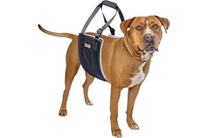 Mighty Paw Dog Lift Harness - Large Size - Comfortable Support for Back Legs - Hind Leg Sling for Bigger Canines - Hip and AC