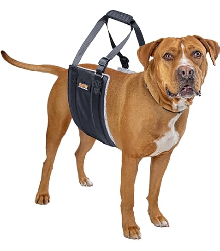 Dog Leg Brace Back Leg Adjustable Dog Lift Harness Full Body