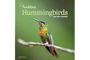 Audubon Hummingbirds Mini Wall Calendar 2026