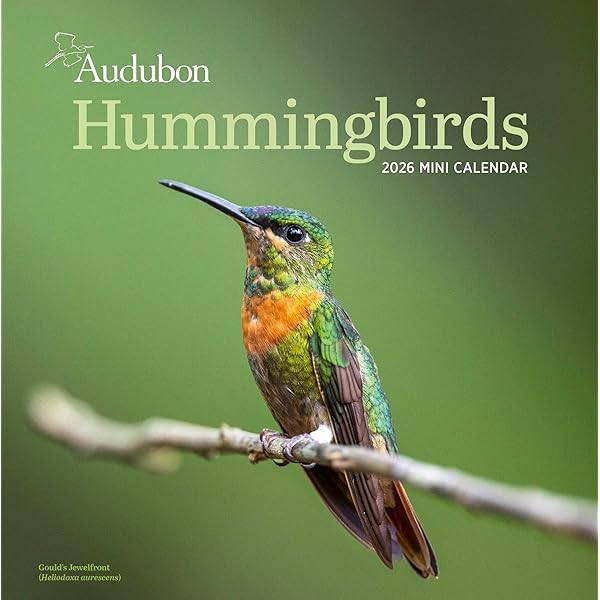 Cockatiels Calendar - 2019 Wall Calendars - Bird Calendars - Monthly - View #4