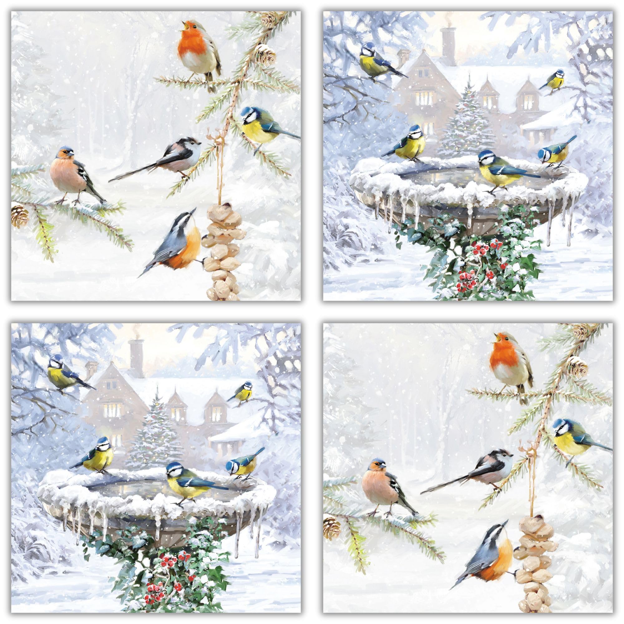 GBCC Charity Christmas Cards Pack of 20 - Festive Robins & Birds in the Snow - Assorted Premium Greeting Cards Multipack with Envelopes - 10 Each of 2 Designs - Supporting UK Charities
