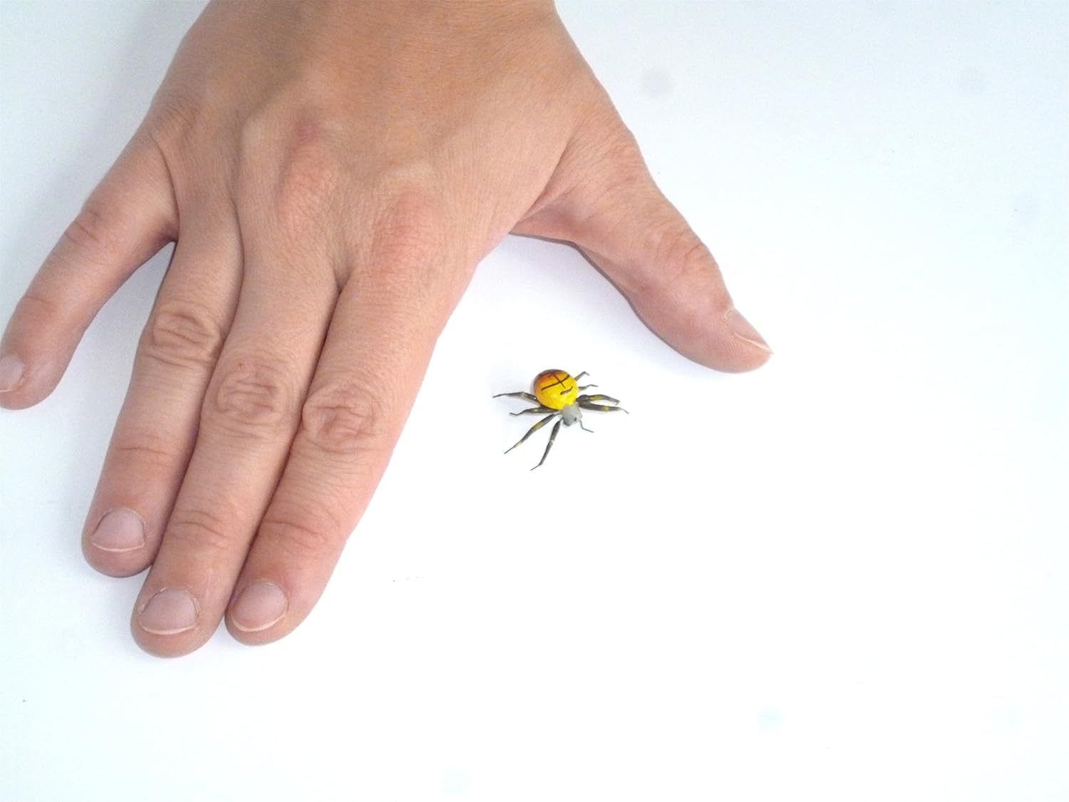 Literie Enfants Couvertures Araignee Araignee Refrigerateur Aimant Magnetique Magnetique Insectes Aimant Dekomagnet Halloween Mini Araignee Jaune Orange Napravi Rs