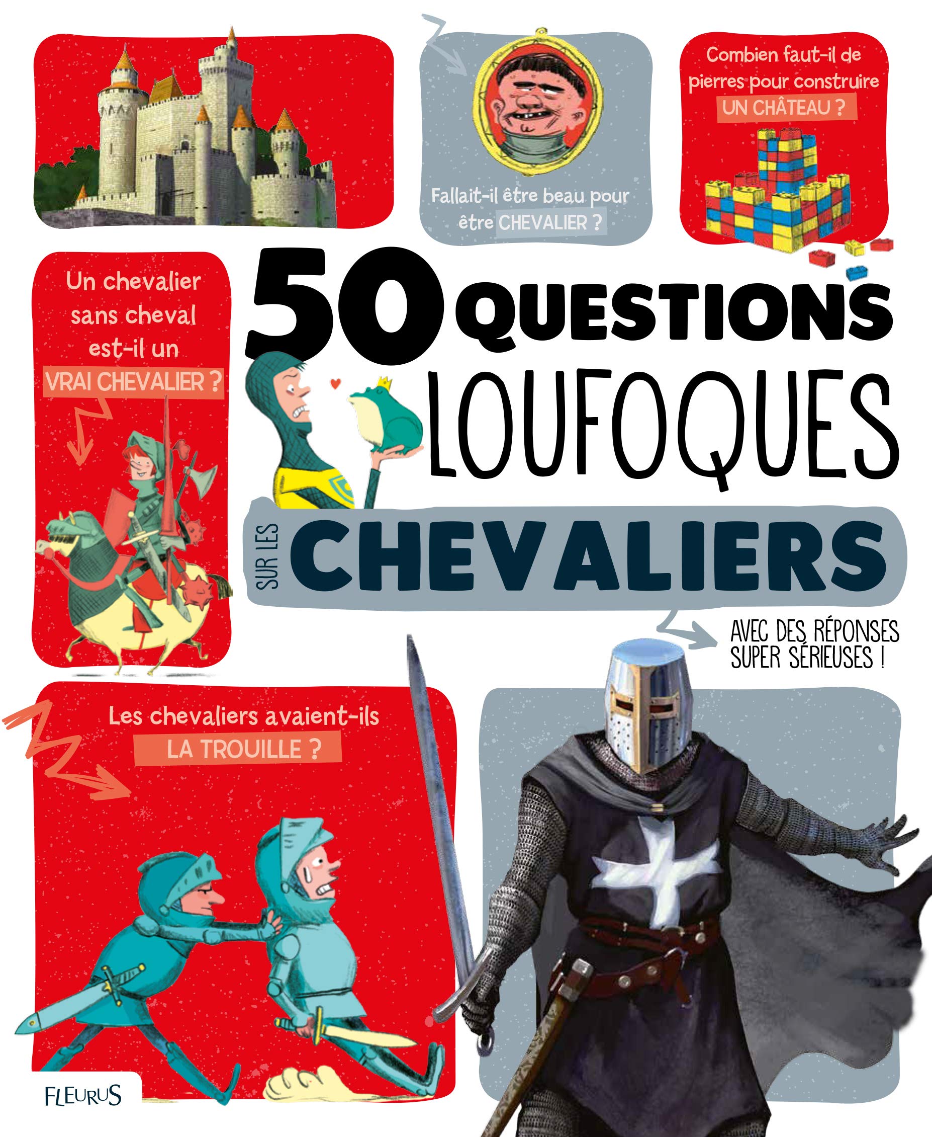 28+ 50 questions loufoques sur les chevaliers ideas