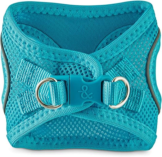 bond & co small dog harness