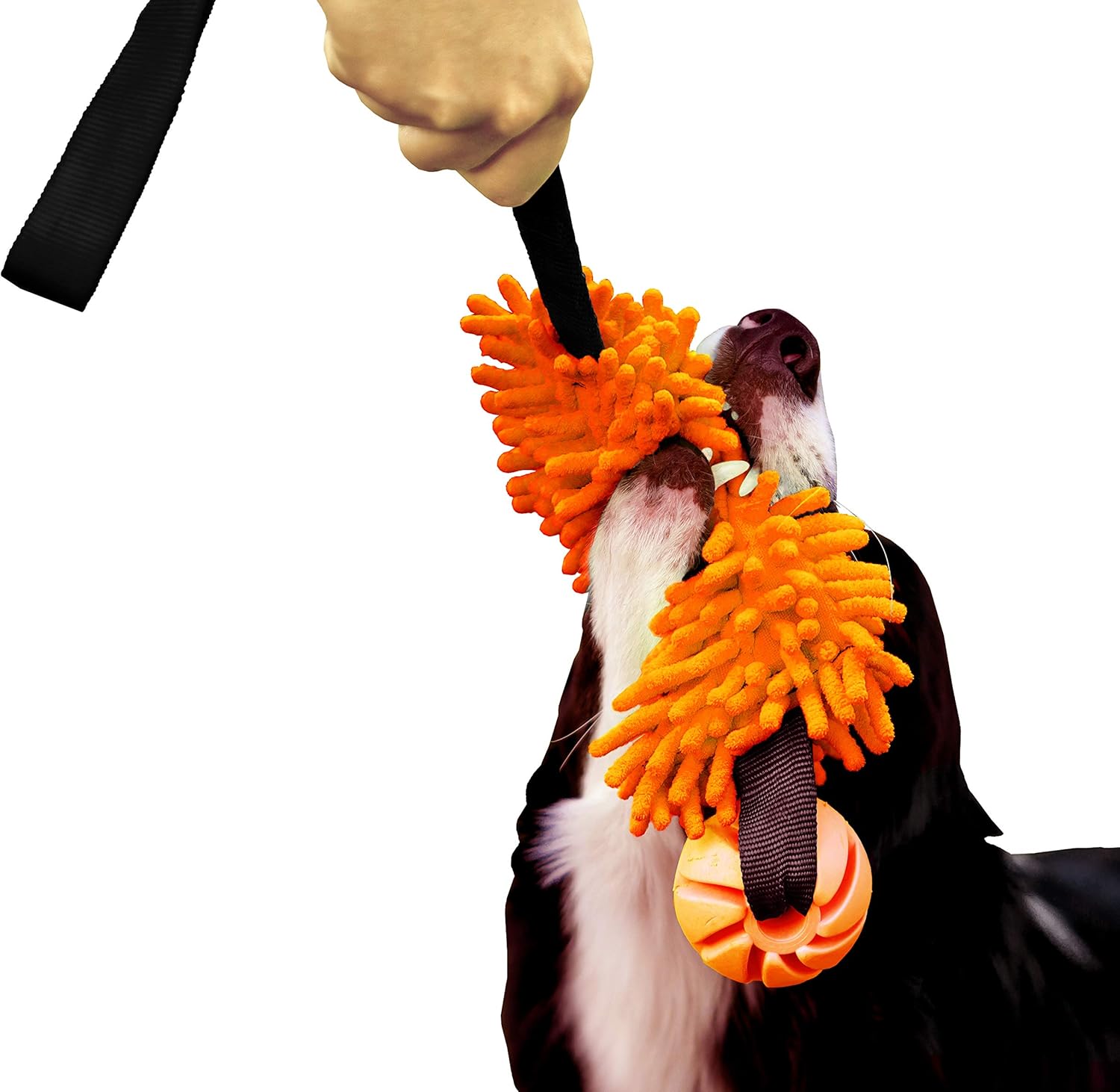 DINGO Floatable Tug Toy with a Flavoured Ball and Bungee Handle, Handmade Dog Chaser for Play Tug of War, Agility, Fetch