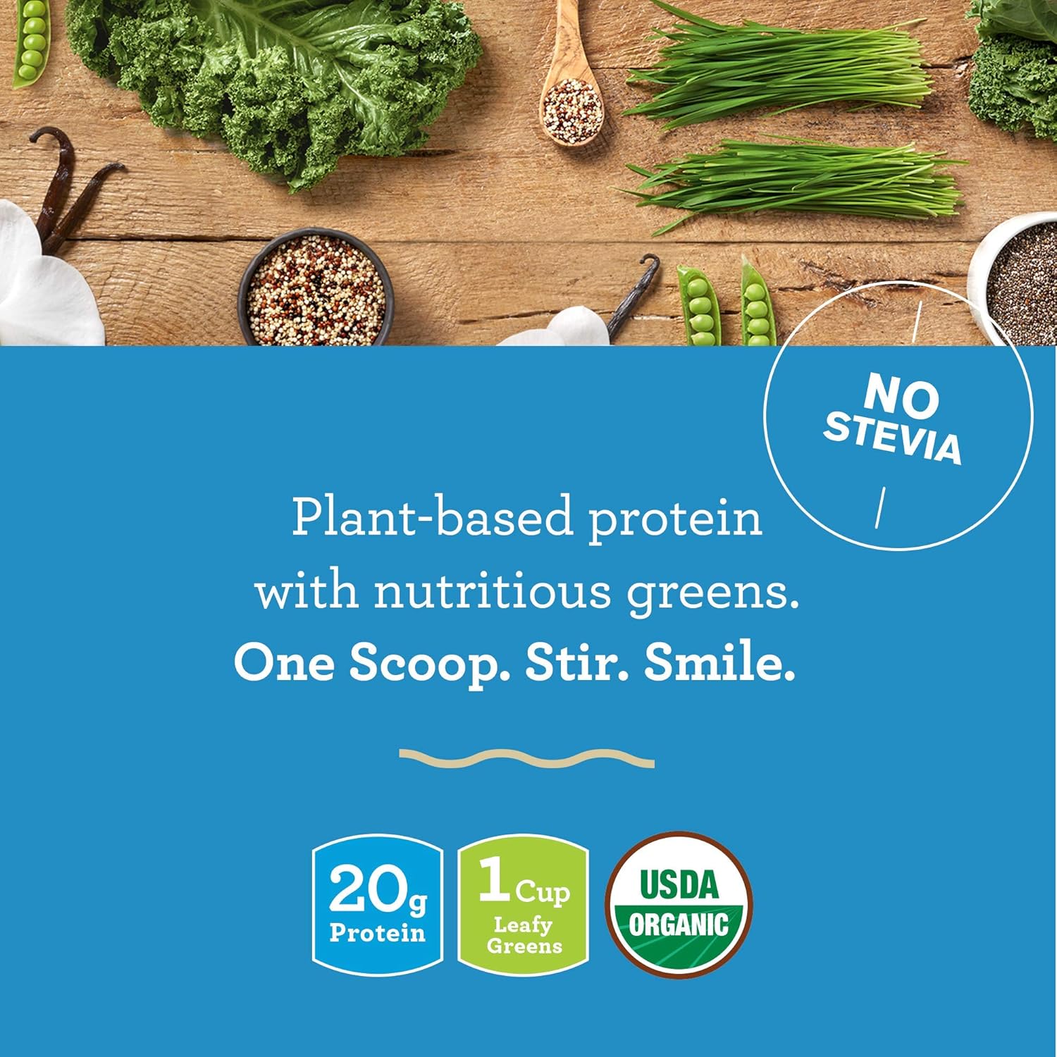 Amazing Grass Vegan Protein & Kale Powder: 20g of Organic Protein + 1 Cup Leafy Greens per Serving, Vanilla, 15 Servings : Grocery & Gourmet Food