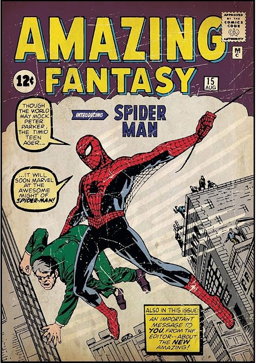 Amazon.com: Marvel Spiderman First Issue Comic Book Cover Wall ...