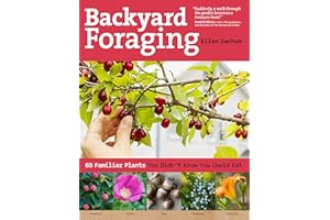 Backyard Foraging: 65 Familiar Plants You Didn't Know You Could Eat