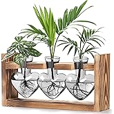 Lifecapido Heart Shaped Propagation Stations, Plant Terrarium with Wooden Stand, Plant Propagation Station for Hydroponics Plants Office Garden Home Decor, Gifts for Women Plant Lover (3 Vases, Gray)