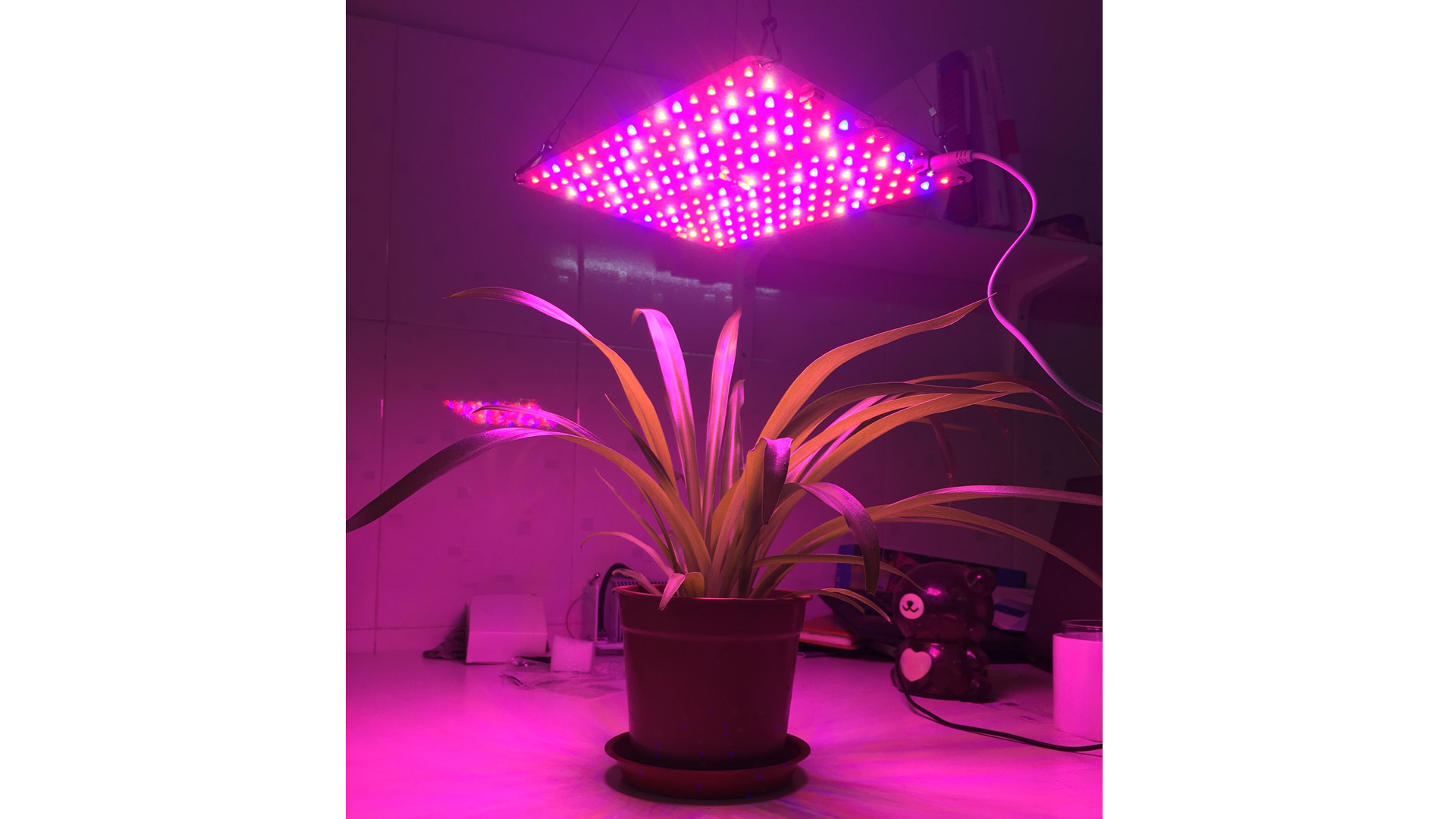 ACKE LED Panel Grow Light, Plant Light PCBA, Hydroponic Grow Light,LED