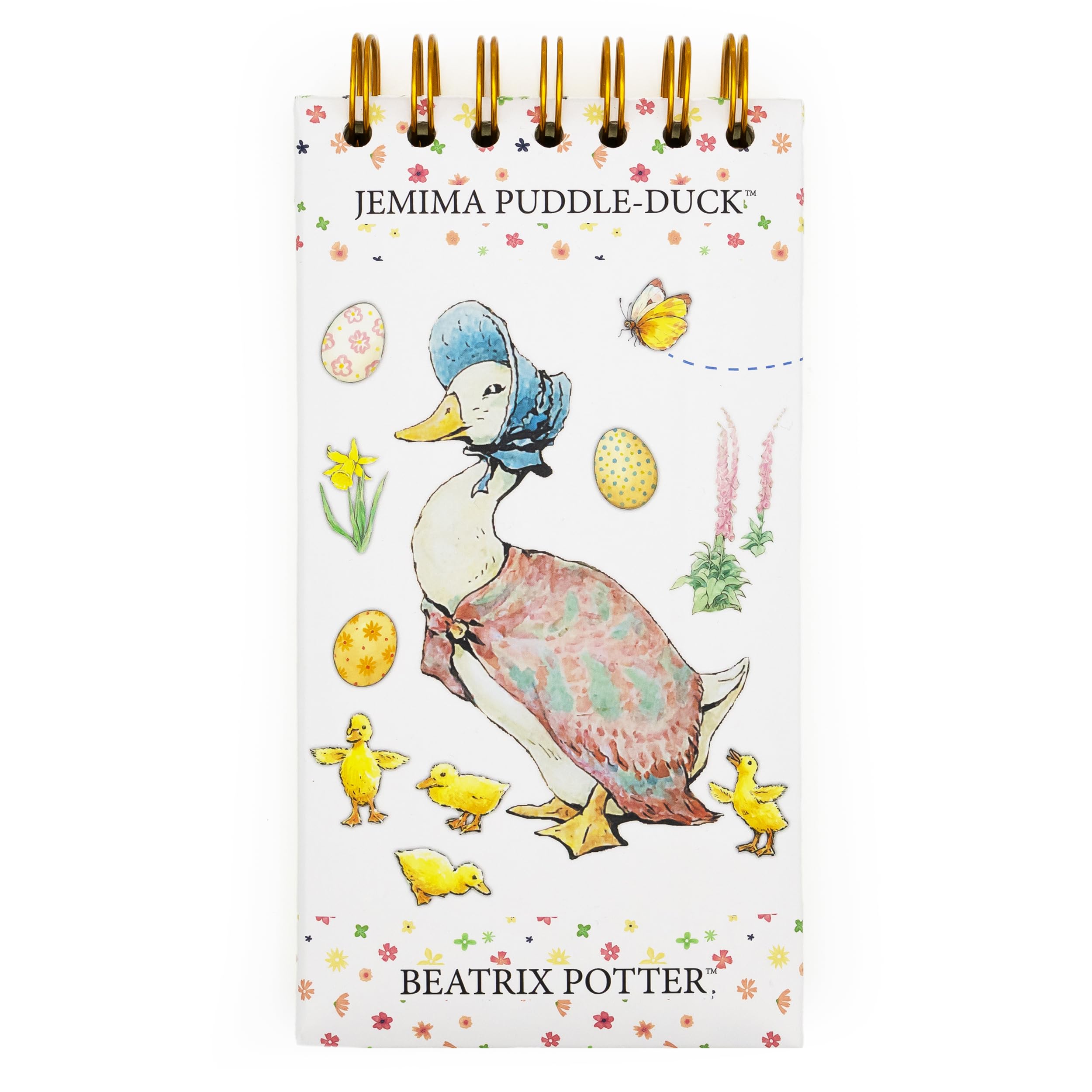 Robert Frederick Beatrix Potter Jemima Puddle-Duck Tall Wiro Notes To Do List Pad Notebook