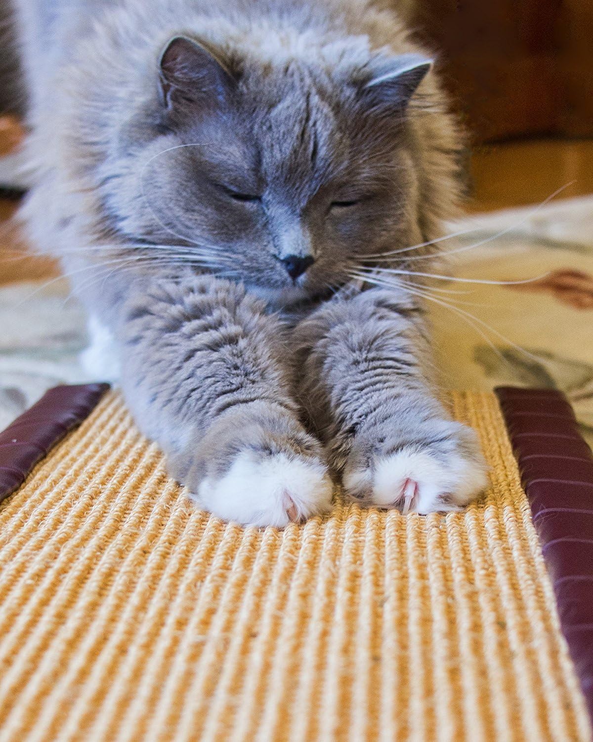 Royal Cat Boutique Kitty Treadmill Horizontal Floor Scratcher, Gold