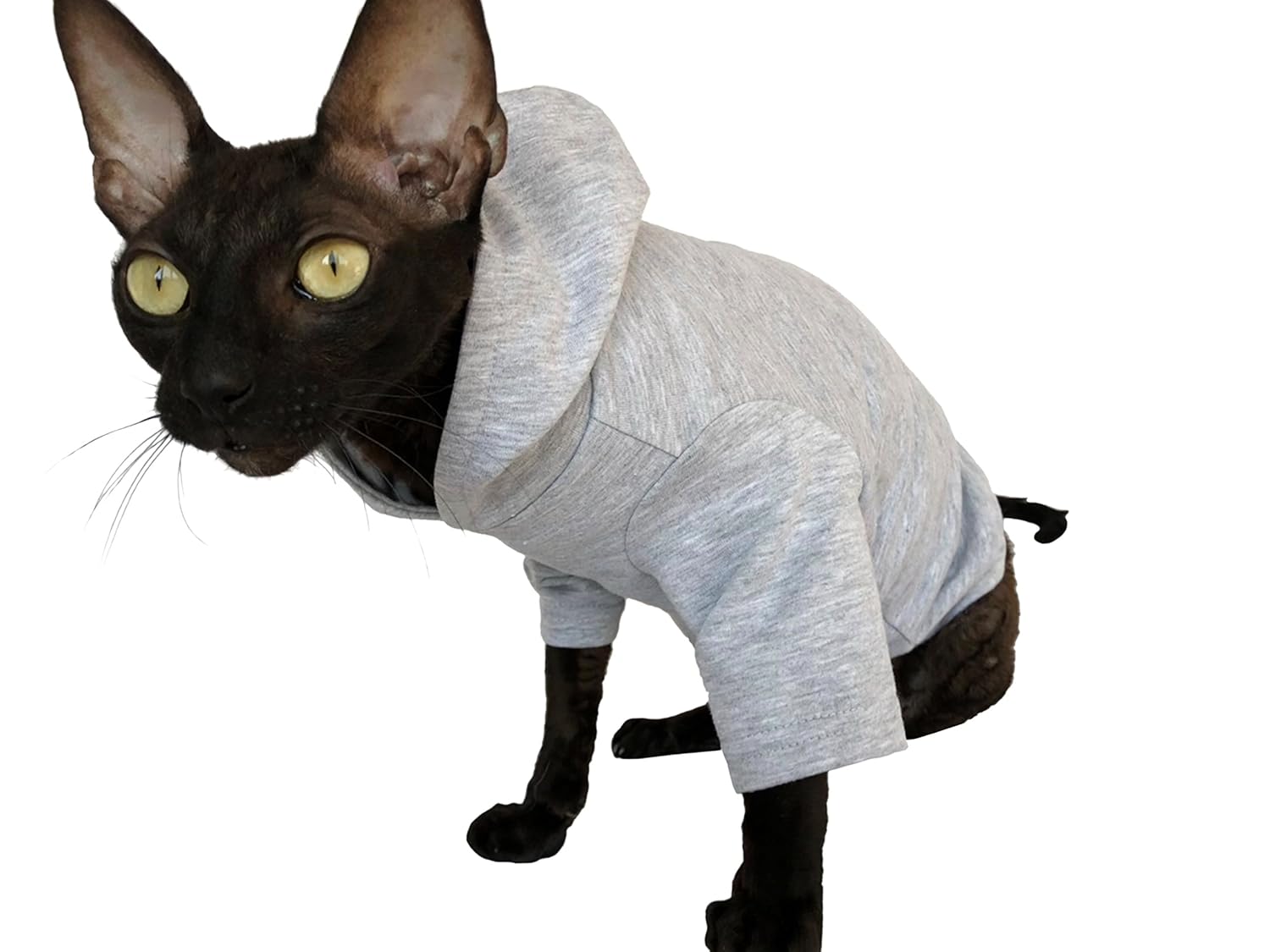 Prodotti per animali domestici L Kotomoda Abbigliamento ...