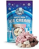 Arctic Farms Freeze Dried Ice Cream Bits Bagged and