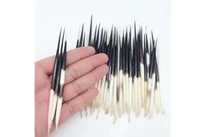 PEPPERLONELY 10PC South Africa Porcupine Quills (2-1/2 Inch ~ 5 Inch)