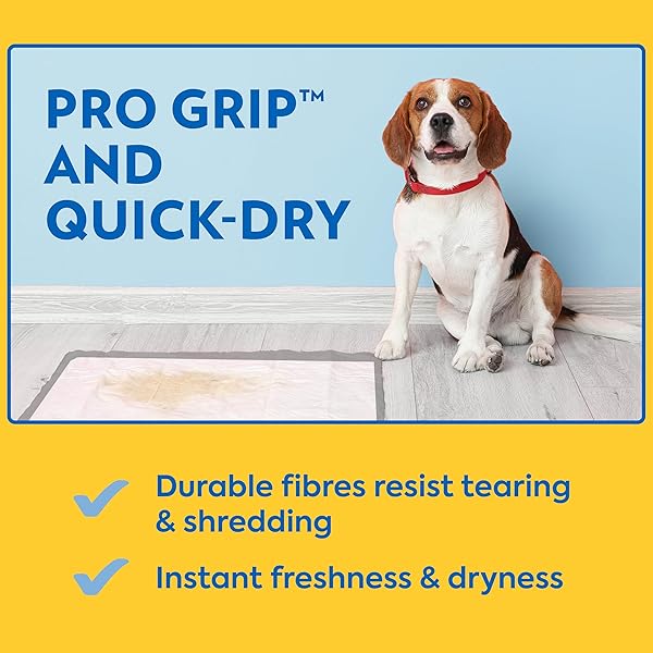 OUT! PETCARE XXL DOG TRAINING PADS, HEAVY DUTY DOG PEE PADS XXL, JUMBO PUPPY PADS, WEE WEE PADS FOR DOGS AND PUPPIES, DOG HOUSE TRAINING, LEAK PROOF, SAFE, DISPOSABLE, 26″X30″, 30 CT