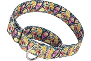 MAOWUWUJOZ 1.5 Inch Wide Martingale Dog Collar - No Pull Choke Cinch Escape Proof for Large Breeds Walking, Running & Training（Cashew Flower L）