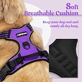 rabbitgoo Small Dog Harness No Pull Reflective with 2 Leash Clips Purple S view 3