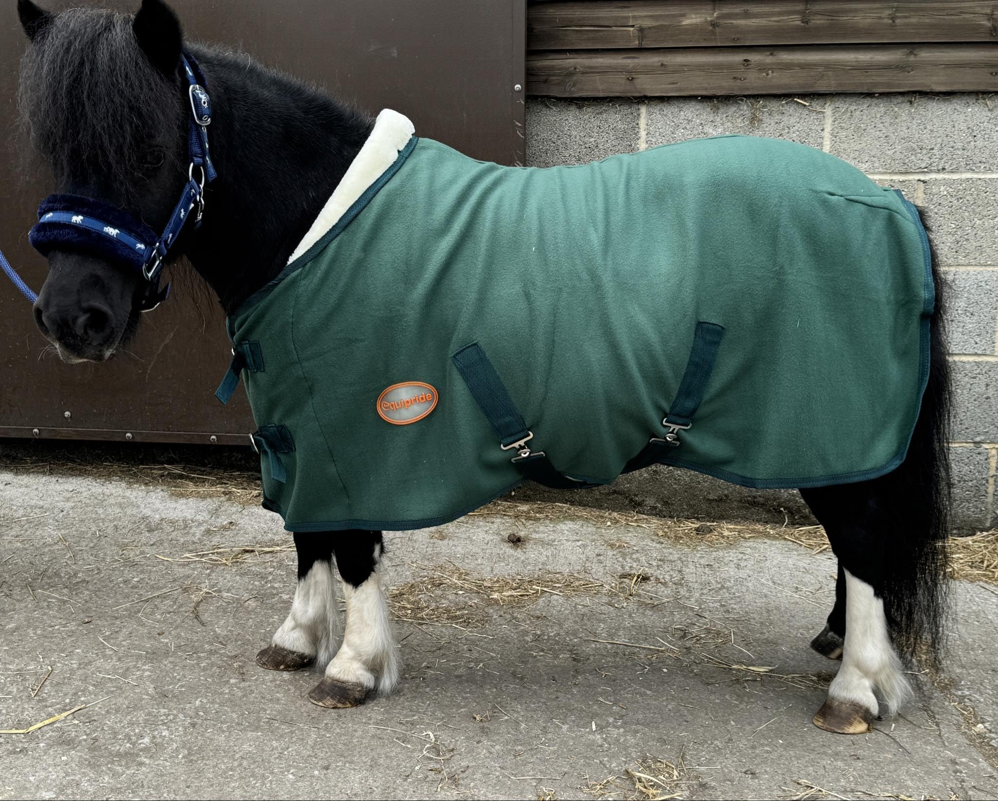 Starlight Horse Rug Show Rug Fleece Travel Rug with Faux Fur Collar 4'0" to 6'9" Hunter Green (4'3")