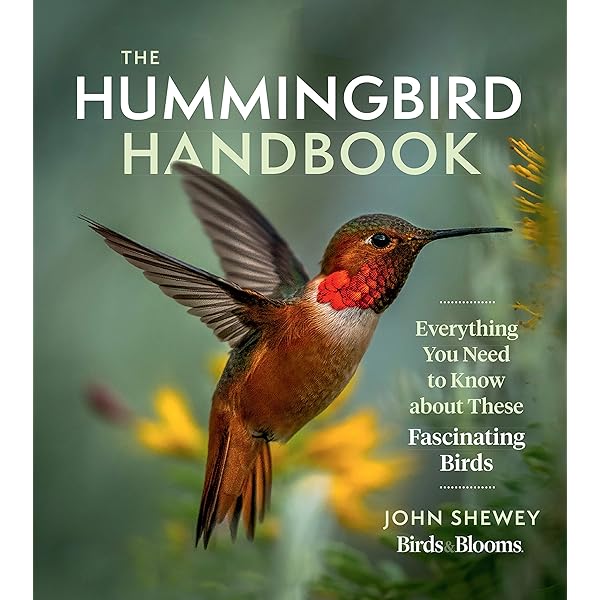(未使用･未開封品)Video Guide to Hummingbirds [DVD] Amazon.com: Nature: Hummingbirds : ., .: Movies & TV