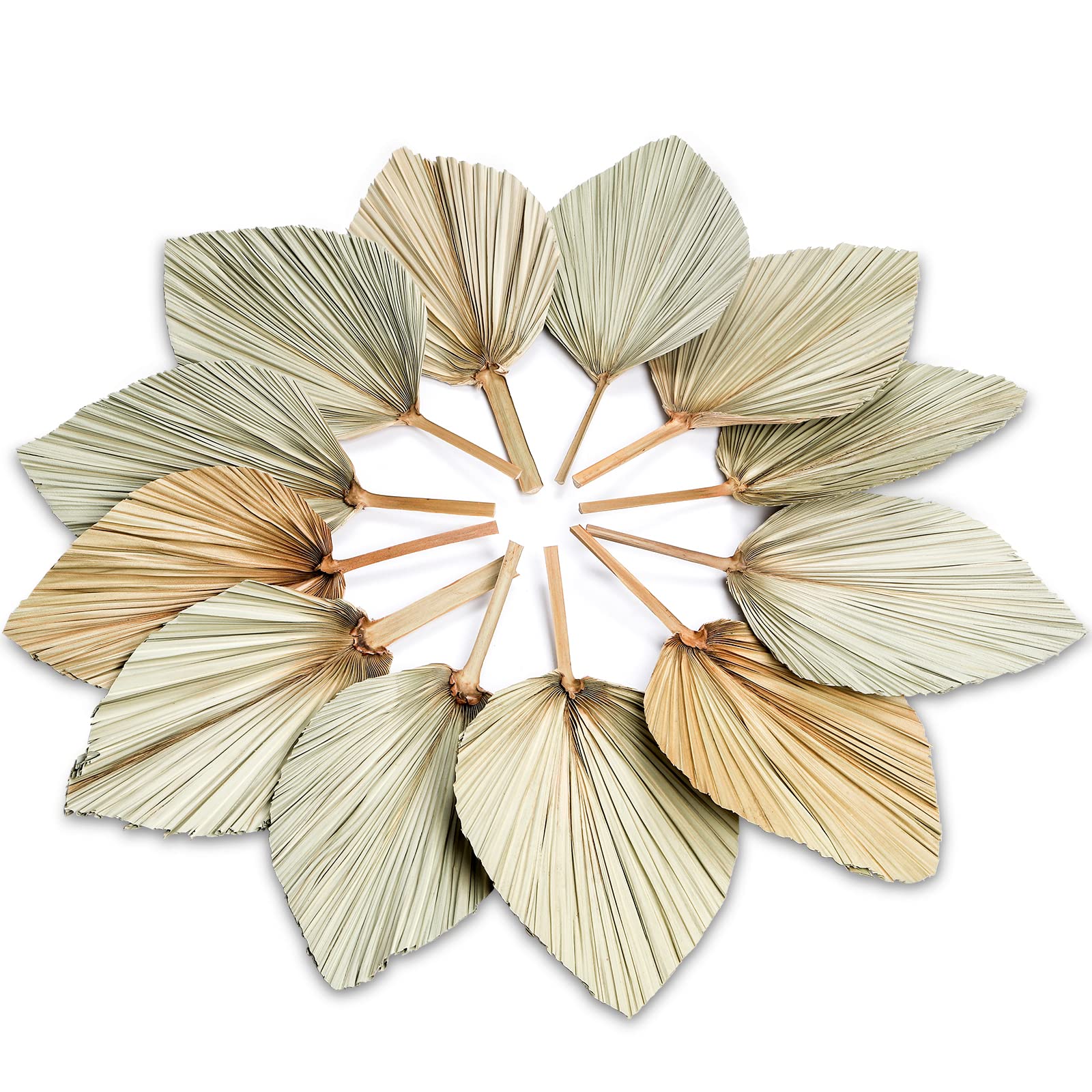 Photo 1 of AVLA 12 Pack Boho Large Natural Palm Fans, Tropical Dried Palm Spear with Stem, Dried Leaf Plant for Vase, Bohemian Wedding Flower Decoration for Party Office Home Wall Decor