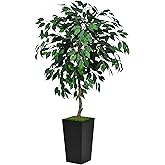 ASTIDY Artificial Ficus Tree 5FT - Faux Indoor Tree with Black Tall Planter - Fake Ficus Floor Plant in Pot - Artificial Silk Tree for Home Office Living Room Decor Indoor