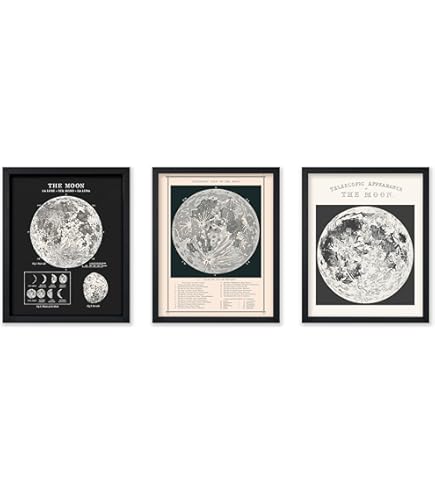 Amazon.com: Full Moon Night Sky Black White Vivid Detail