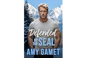 Defended by the SEAL: A Forced Proximity Military Romance with a Surprise Baby (HERO Force Book 10)
