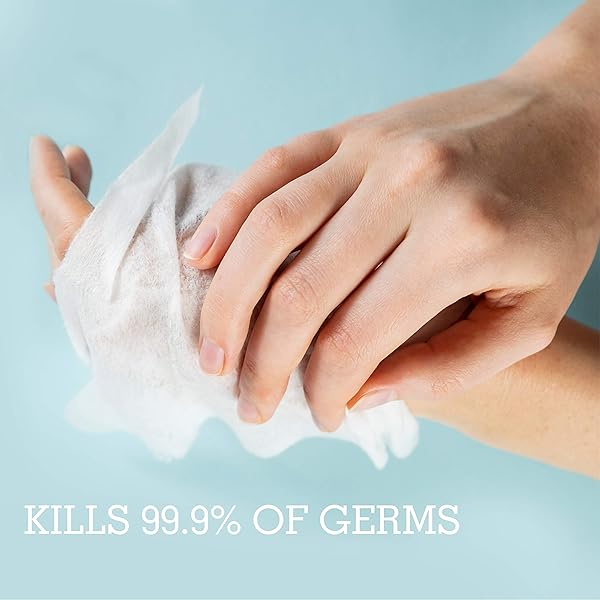 CLEANZE ANTIBACTERIAL HAND SANITIZING WIPES WITH ALOE, ALCOHOL-BASED RESEALABLE SOFT PACK FOR ON-THE-GO HAND CLEANING, HELPS REDUCE GERMS WITHOUT WATER, TRAVEL-FRIENDLY PACK, 100 WIPES