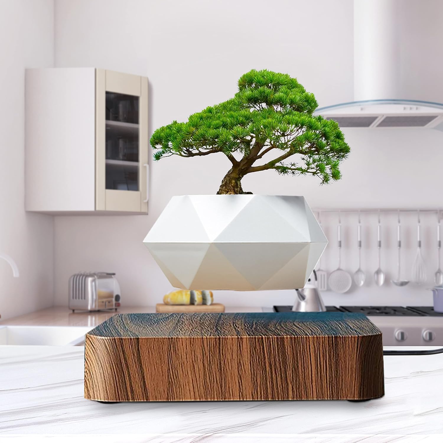 HOMEXXPRESS Levitating Plant- Floating Plant Pot - Magnetic Planter 360-Degree Rotation - Home Desk Office Kitchen Indoor Decor - Succulent Bonsai Air Plant - Maceta Flotante (Dark Brown)