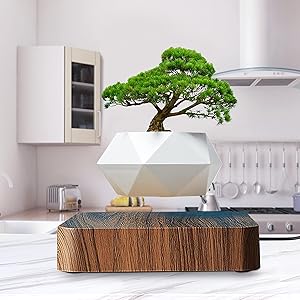 HOMEXXPRESS Levitating Plant- Floating Plant Pot - Magnetic Planter 360-Degree Rotation - Home Desk Office Kitchen Indoor Decor - Succulent Bonsai Air Plant - Maceta Flotante (Dark Brown)