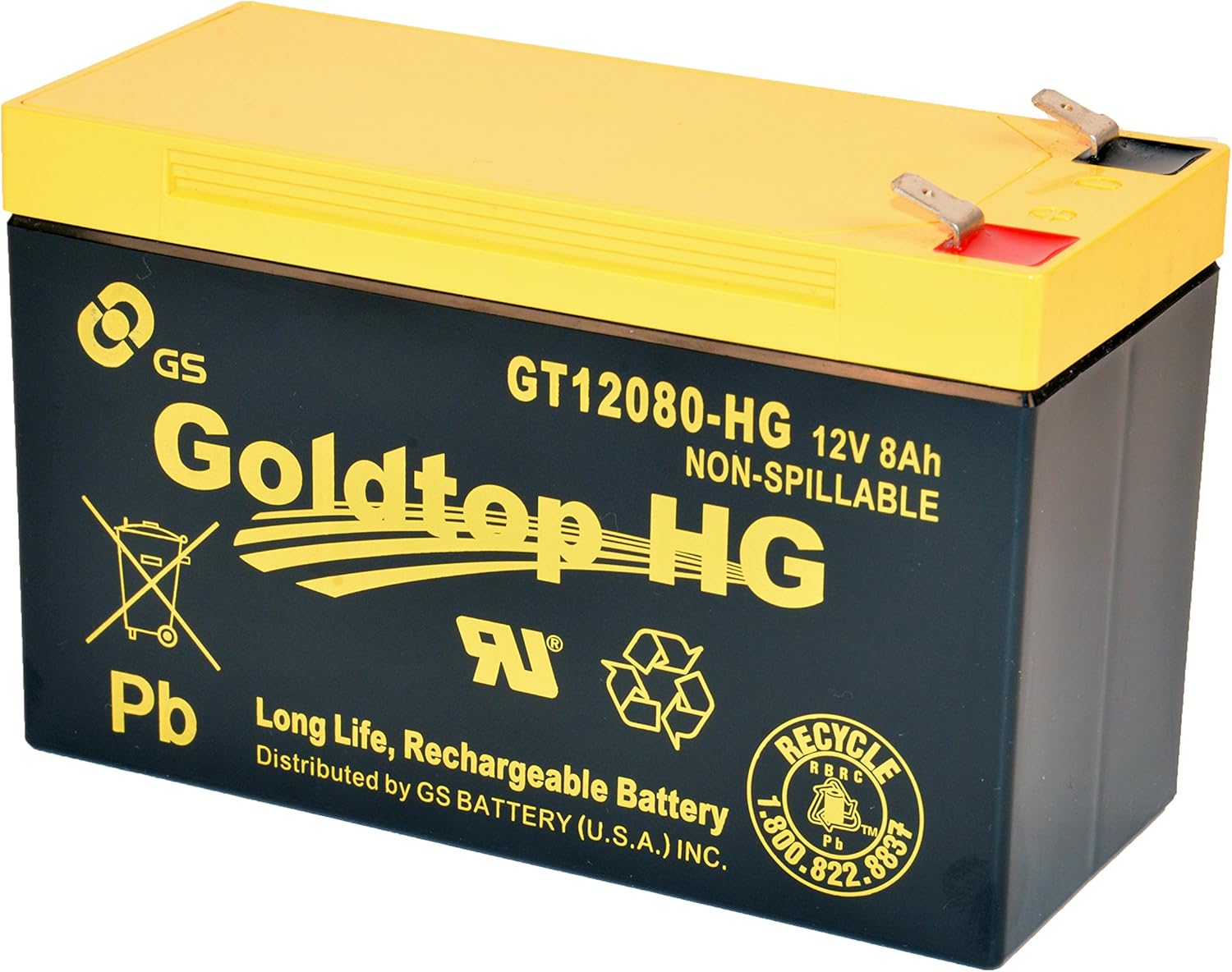 12V 8 Amp GS Battery GT12080HG Rechargeable Battery for