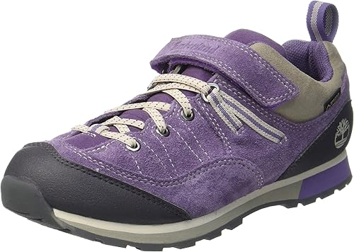 timberland griffin park low gtx