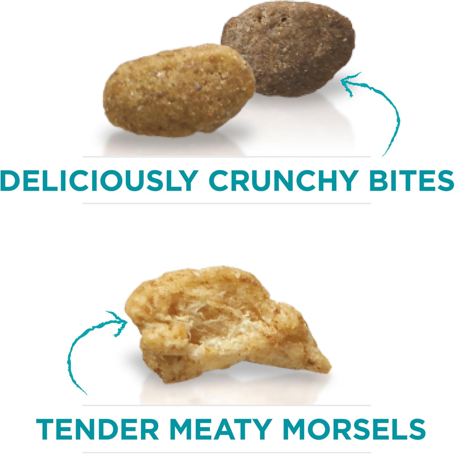 Purina ONE Natural Dry Cat Food, Tender Selects Blend With Real Salmon - 16 lb. Bag : Dry Pet Food : Pet Supplies