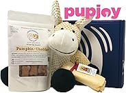 PupJoy Dog Day Box - Artisan Dog Goodie Subscription Box: Medium Dog