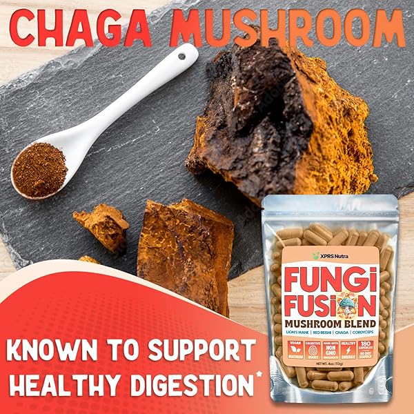 XPRS NUTRA FUNGI FUSION MUSHROOM BLEND CAPSULES – 180 COUNT (90 DAY SUPPLY) PREMIUM BLEND OF LION’S MANE, REISHI, CHAGA, CORDYCEPS CAPSULES TO SUPPORT MENTAL CLARITY, COGNITION, ENERGY AND IMMUNITY