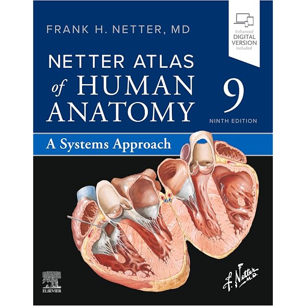 Amazon.com: Atlas of Human Anatomy E-Book: Digital eBook (Netter