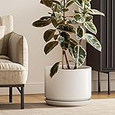 LE TAUCI 12 Inch Pots for Plants, Ceramic Plant Pots with Drainage Holes and Saucers, Elegant and Durable Large Plant Pot, Perfect for Home & Office Decor, White