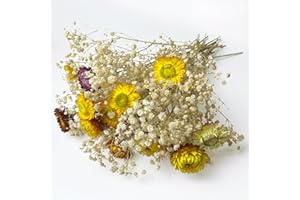 L'BREVOGA Dried Flowers, 15 pcs Daisy Bouquets with Baby's Breath Bulk, 16 Inches Dried Flowers for Floral Arrangements Home 