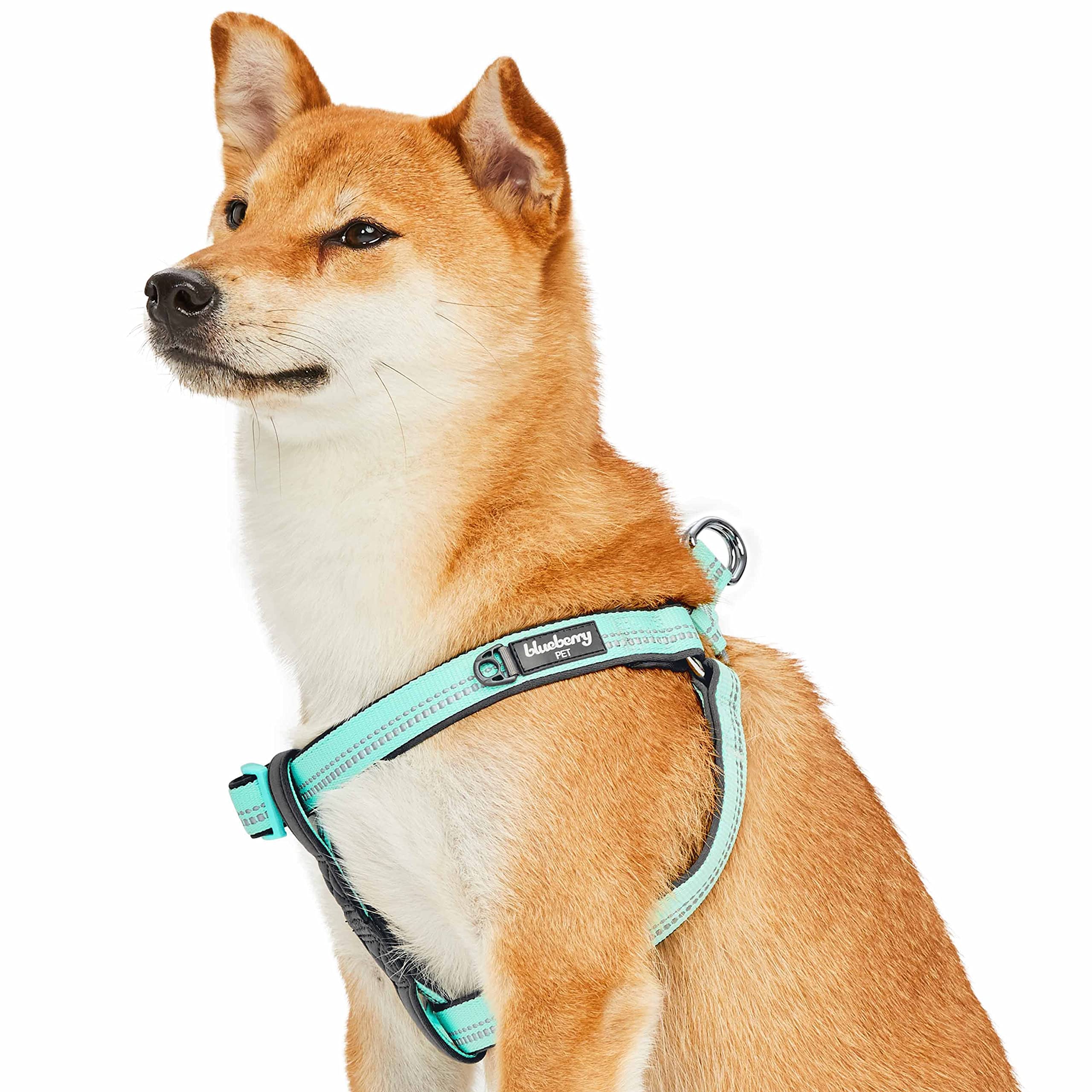 Blueberry Pet Comfy 3M Reflective Step-in Pastel Color Padded Dog Harness, Chest Girth 51cm-66cm, Mint Blue, Medium, Adjustable Harnesses for Dogs