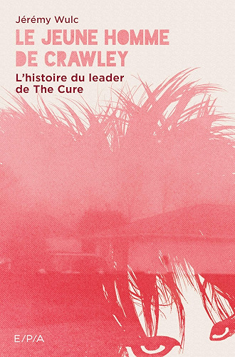 Download Le jeune homme de Crawley PDF