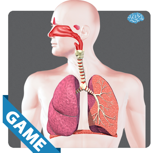 RESPIRATORY ANATOMY GAMEAmazon.co.ukAppstore for Android