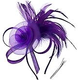 DRESHOW Fascinators Hats for Women Tea Party Fascinator Hats Vintage 50s Headwear Cocktail Wedding Church Derby Hat