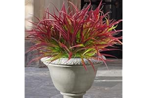 Uieke 12 Bundles Artificial Outdoor Plants UV Resistant Fake Grass Plants Faux Plastic Plants Greenery Shrubs for Home Garden Pathway Window Box Front Porch Spring Summer Decor, Deep Red