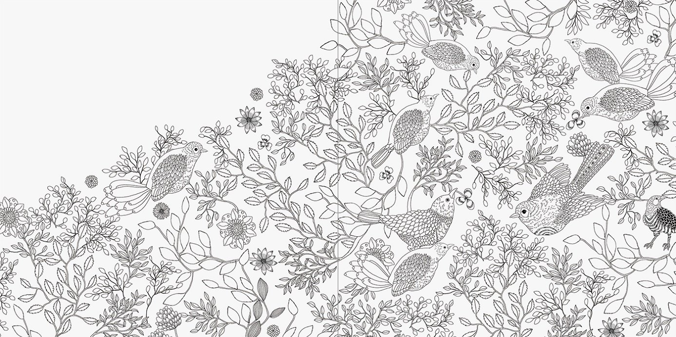 Mua Dream ゆめと森のファンタジーぬり絵 Tren Amazon Nhật Chinh Hang 2021 Fado